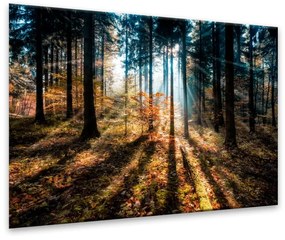 Immagine su tela, 70 x 100 cm Glasspik Autumn Sunset - Styler