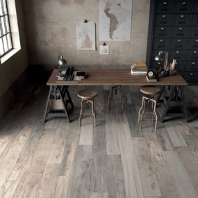 Ceramiche Abk Rettificato 20x120 "Dolphin" Moon
