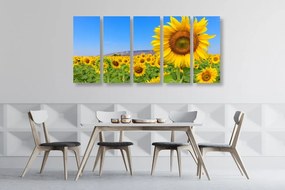 Quadri 5 pezzi – Campo di girasoli