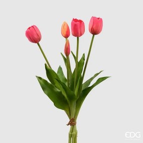 EDG - EDG Enzo De Gasperi Bouquet Di Tulipani Fucsia