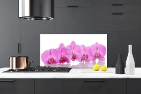 Rivestimento parete cucina Fiori di orchidea rosa 100x50 cm