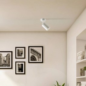 SIGMA Faretto a soffitto Zoom, 1 luce, bianco