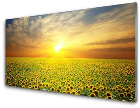 Quadro acrilico Il sole, il prato, i girasoli 100x50 cm