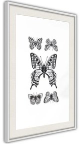 Poster  Butterfly Collection IV  Cornice Quadri Cornice d'oro con passe-partout, Larghezza x Altezza Home decor 30x45