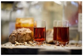 Bicchierini 3 pezzi 50 ml Rocks - Zone