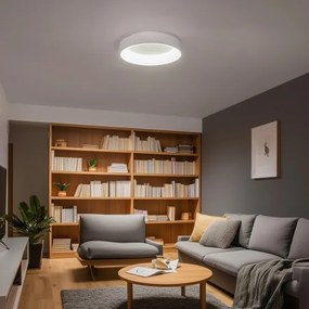 Brilagi - Plafoniera LED dimmerabile FALCON LED/40W/230V 3000-6500K + tc