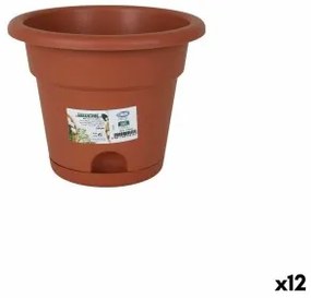 Vaso con Piatto Dem Greentime Marrone 20 x 20 x 16 cm (12 Unità)