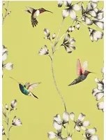 Kolibri Tapete Amazilia von Harlequin - Gooseberry