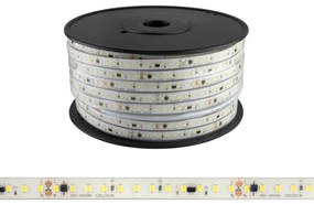 Strisce LED 220V 16W/m 120lm/W chip Lumileds Dimmerabile tagl. 10cm – 50m Colore Bianco Naturale 4.000K