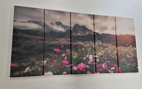 Quadri 5 pezzi – Prato di fiori in fiore