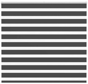 Tenda A Rullo Zebra Nero Larghezza Tessuto 155,9 Cm Poliestere /