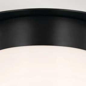 Kichler KL-ALBERS-F-T-BK - Plafoniera ALBERS 1x E27/40W/230V Ø 21,6 cm, nero