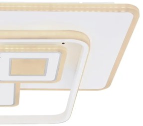 Globo 48441-50 - Plafoniera LED dimmerabile RODERICK LED/50W/230V + tc