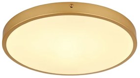 Globo 12381-22 - Plafoniera LED TIBEY LED/22W/230V diametro 35 cm