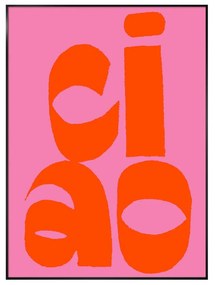 Dipinto 50x70 cm Ciao – Styler