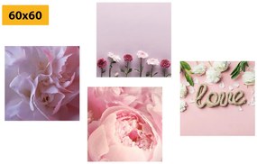 Set di quadri – Fiori in delicata tonalità rosa