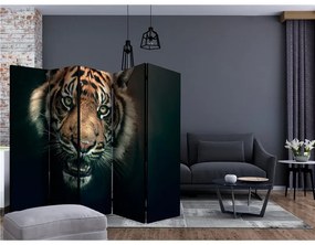 Paravento Bengal Tiger II [Room Dividers]