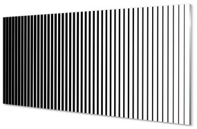 Rivestimento parete cucina Transizione delle strisce zebrate 100x50 cm