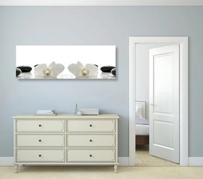 Quadro su tela – Fiori bianchi di orchidea