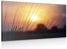 Stampa su tela – Alba sul prato
