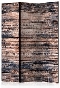 Paravento  Burnt Boards [Room Dividers]  Colore ---, Dimensioni e Misure 135x172