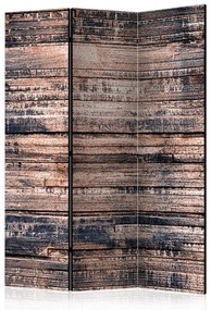 Paravento Burnt Boards [Room Dividers]