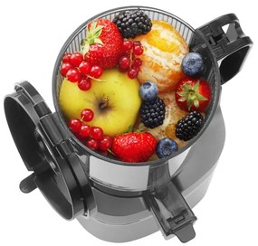 Concept LO7120 - Spremiagrumi lento JUICY 250W/230V grigio