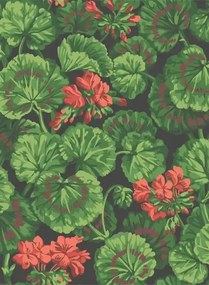 Cole & Son Carta da parati Geranium - Rouge/ Green on Black