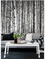 Rebel Walls Carta da parati panoramica Birch Trunks
