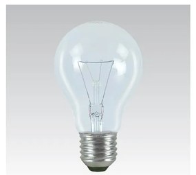 Lampadina speciale per uso intensivo E27/100W/24V