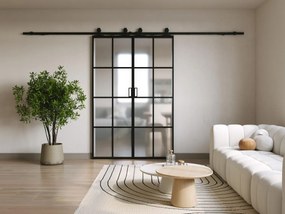 Porte scorrevole doppia esterno muro 2 x H205 x L93 cm Alluminio e Vetro temperato smerigliato - WILDEN II