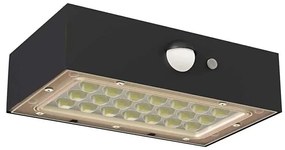 LED Proiettore solare con sensore di movimento LED/3,7V 1200mAh 4000K IP65 nero