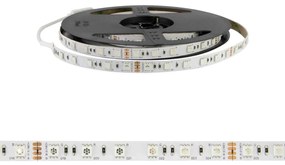 Striscia LED Professional 5050/60 - RGB - IP20 - 144W/m - 5m - 24V Colore RGB