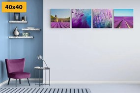 Set di quadri – Lavanda con astrazione