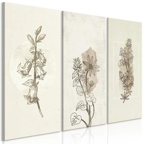 Quadro  Herbarium (3 Parts)  Larghezza x Altezza Home decor 90x60