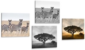 Set di quadri – Animali che vivono nella Savana