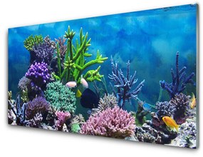 Quadro in vetro acrilico Pesce sott'acqua acquario 100x50 cm