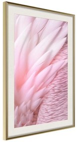 Poster  Pink Feathers  Cornice Quadri Cornice d'oro con passe-partout, Larghezza x Altezza Home decor 40x60