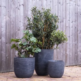 Vaso Basso Elegante Waste Rib 46x58 Cm Grigio /