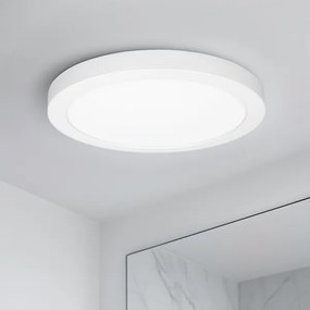 Solight WD244-W - Pannello LED 2 in 1 24W/230V 3000/4000/6000K Ø 30 cm IP54 bianco