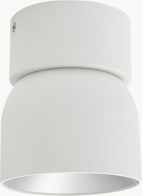 Faretto da soffitto con luce regolabile Pitcher
