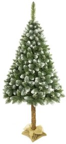 Albero di Natale su tronco di pino 180 cm