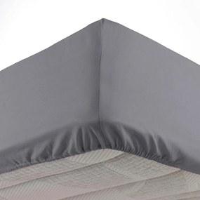 Lenzuolo elasticizzato in microfibra antracite 140x190 cm Oscar - douceur d'intérieur