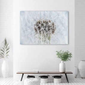 Quadro su tela, Dandelion di fiori bianchi  Dimensioni 90x60