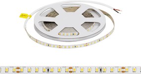 Striscia LED 24V 10W/m Alta Efficienza Professionale - IP20 - 5 metri