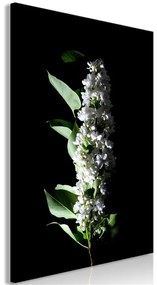 Quadro White Lilacs (1 Part) Vertical  Colore Bianco, Dimensioni e Misure 40x60