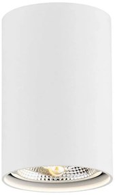 Argon 4910 - Luce Spot TUBO AR111 1xGU10/15W/230V bianco