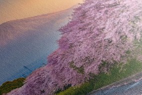 Quadro su tela – Meraviglioso Giappone
