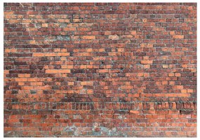 Fotomurale  Vintage Wall (Red Brick)  Colore Rosso, Dimensioni e Misure 250x175