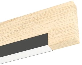 Eglo 99294 - Applique a LED CAMACHO LED/9,6W/230V